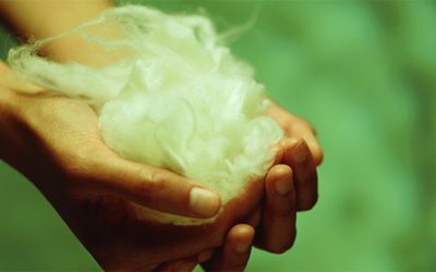 Minimising Our Environmental Impacts