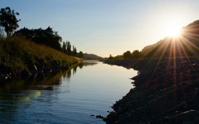 No place for plastic in high fashion